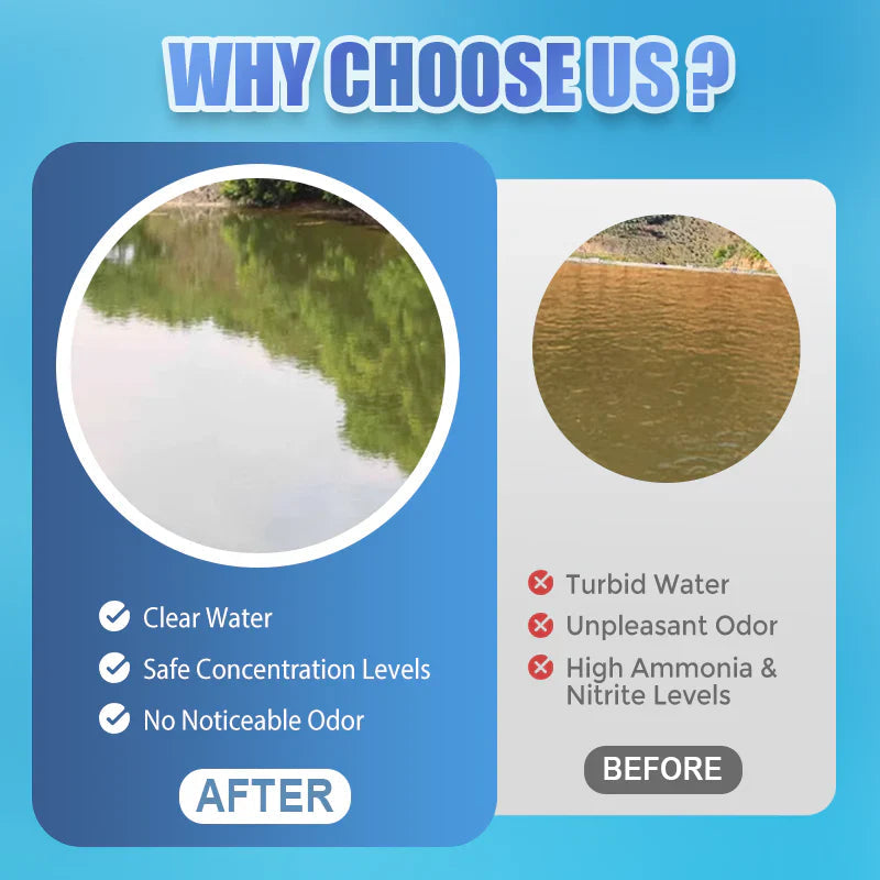 Premium Pond Care Powder | Water Clarifier & Algae Control 🐟🌊🔬 ( BUY 1 GET 1 FREE )
